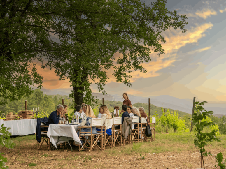 Soirée Séminanire Occitanie Vignoble