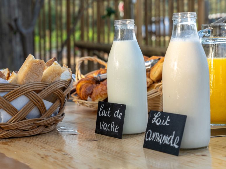 petit déjeuner Domaine d'Anglas