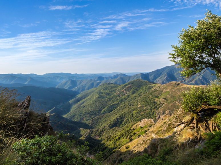 des randonnées en Hérault
