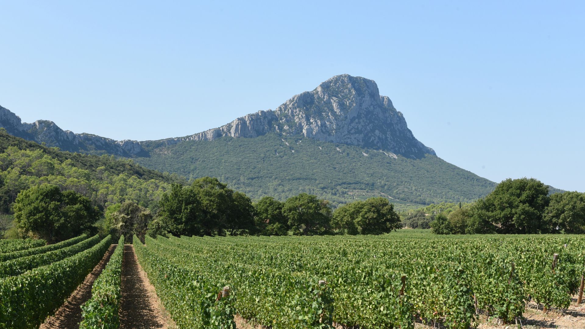 Le Pic Saint Loup Camping Anglas Le Pic Saint Loup Camping Anglas